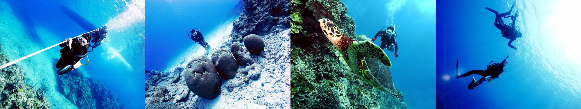 ダイバー、お地蔵さん、タイマイ、中性浮力